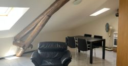 CHIASSO – APP. 2.5 LOCALI